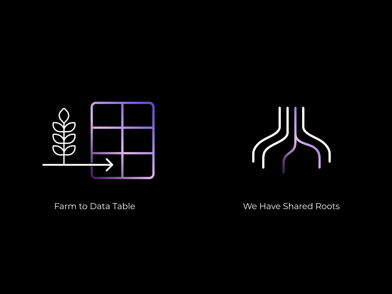 Oxrow data visualization